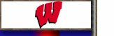 Wisconsin Badgers NCAA College Licensed Merchandise & Collectables