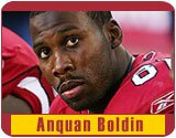 Anquan Boldin Collectible Merchandise