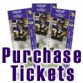Minnesota Vikings NFL Football Game Tickets